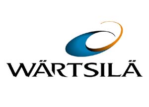 Wartsila Sealing Ring 100141
